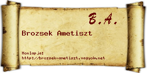 Brozsek Ametiszt névjegykártya